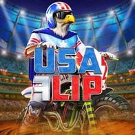 USA Flip game thumbnail